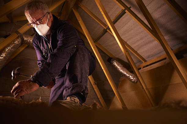 Types of Insulation We Offer in Warden, WA